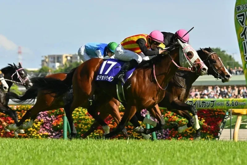 Rodeo Drive wins Sunday's Grade 1 NHK Mile Cup at Tokyo Racecourse.(Photo by and courtesy of Katsumi Saito