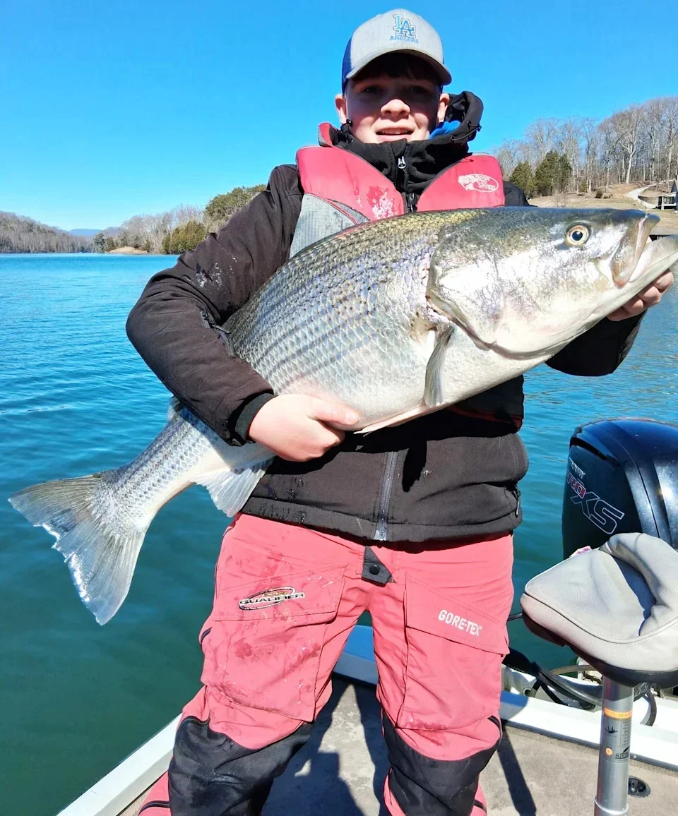 Korbin Crabtree, a 14-year-old from Overton County, displays the 50-pound bass he caught in Melton Hill Lake on Saturday, Febr. 7.
