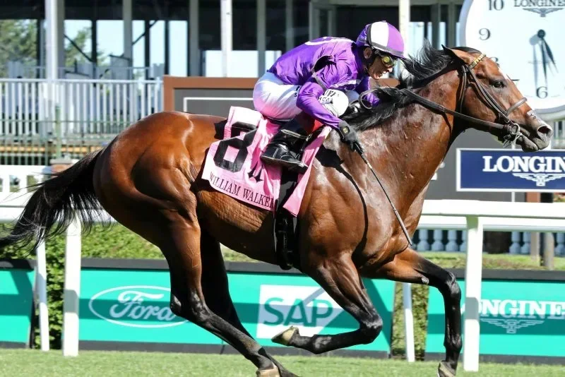 Outfielder wins Saturday's William Walker at Churchill Downs and is headed to Royal Ascot's Coronation Cup. Photo courtesy of Churchill Downs