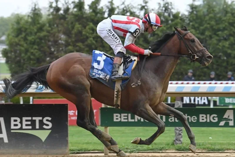 Growth Equity wins Saturday's Peter Pan Stakes at Aqueduct and could be a Belmont Stakes candidate. Photo by Susie Raisher, courtesy of NYRA